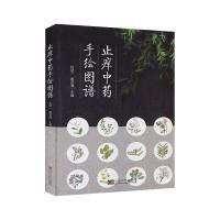 止痒中药手绘图谱 伍冠一,唐宗湘 编 生活 文轩网