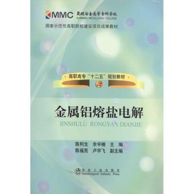 金属铝熔盐电解  陈利生 余宇楠  主编 专业科技 文轩网