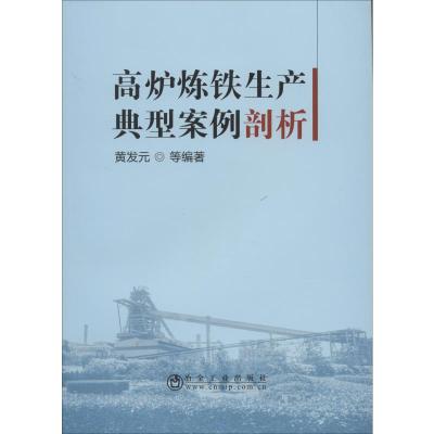 高炉炼铁生产典型案例剖析 黄发元 等 著 专业科技 文轩网