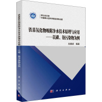 铁基氧化物吸附净水技术原理与应用——以磷、铬污染物为例 吕建波 编 专业科技 文轩网