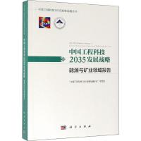 中国工程科技2035发展战略 能源与矿业领域报告 "中国工程科技2035发展战略研究"项目组 编 专业科技 文轩网