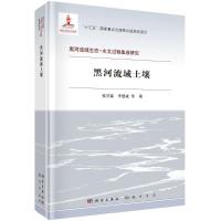 黑河流域土壤(精)/黑河流域生态-水文过程集成研究 张甘霖//李德成 著 专业科技 文轩网