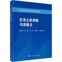 正冻土的冻胀与冻胀力 周国庆 等 著 专业科技 文轩网