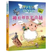 神机妙算羊小妹 陈东栋 著 少儿 文轩网