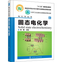 固态电化学 杨勇 编 专业科技 文轩网