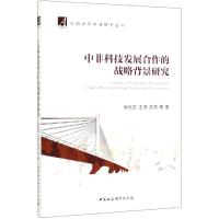 中非科技发展合作的战略背景研究 张永宏,王涛 著 经管、励志 文轩网