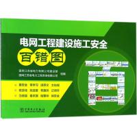 电网工程建设施工安全百错图 国网江苏省电力有限公司建设部,国网江苏省电力工程咨询有限公司 组编 专业科技 文轩网