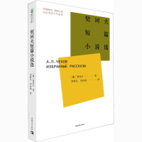 契诃夫短篇小说选 (俄罗斯)契诃夫 著 李辉凡,李丝雨 译 文学 文轩网