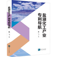 盐湖化工产业专利导航 葛飞 编 经管、励志 文轩网