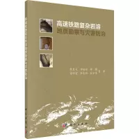 高速铁路复杂岩溶地质勘察与灾害防治 蒋良文 等 著 专业科技 文轩网