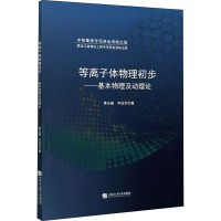 等离子体物理初步——基本物理及动理论 黄永盛,毕远杰 著 专业科技 文轩网