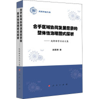 合乎区域协同发展愿景的整体性治理图式探析——赵新峰学术论文集 赵新峰 著 经管、励志 文轩网