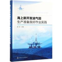 海上新开发油气田生产准备良好作业实践 田宇  主编 著 专业科技 文轩网