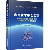 应用化学综合实验 新能源电极材料的制备检测软包装锂离子电池的组装 王红强 编 大中专 文轩网