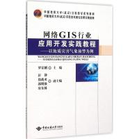 网络GIS行业应用开发实践教程 罗显刚 主编 著 专业科技 文轩网