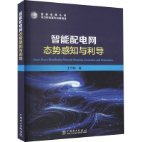 智能配电网态势感知与利导 王守相 著 专业科技 文轩网