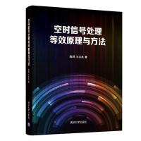 空时信号处理等效原理与方法(精) 陈辉、王永良 著 专业科技 文轩网