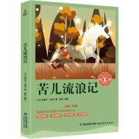 苦儿流浪记 (法)埃克多·马洛 著 金帆,何捷 编 金帆 译 文教 文轩网