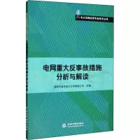 电网重大反事故措施分析与解读 国网天津市电力公司检修公司 编 专业科技 文轩网