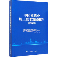 中国建筑业施工技术发展报告(2020) 