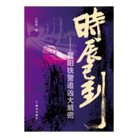 时辰已到 王仲刚 著 文学 文轩网