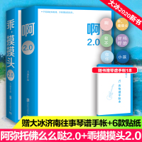 预售啊2.0/大冰+乖摸摸头2.0 大冰 著 文学 文轩网