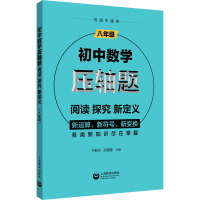 初中数学压轴题 阅读 探究 新定义 8年级 于新华,孙现强 编 文教 文轩网