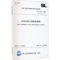 水利水电工程钻探规程 SL/T 291-2020 中华人民共和国水利部 专业科技 文轩网