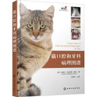 猫口腔和牙科病理图谱 (西)哈维尔·科拉多斯·索托 著 沈瑶琴 译 专业科技 文轩网