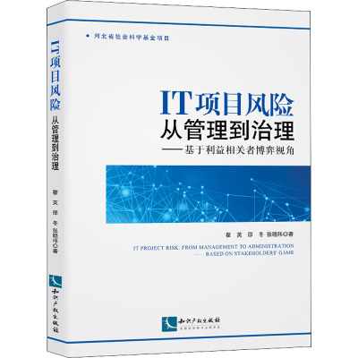 IT项目风险 从管理到治理——基于利益相关者博弈视角 瞿英,邵冬,张晓玮 著 社科 文轩网