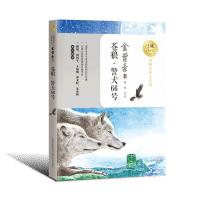 苍狼警犬66号(名师导读美绘版)/暖心美读书 金曾豪 著 少儿 文轩网