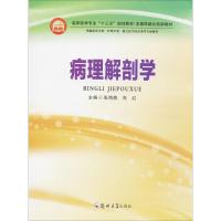 病理解剖学 张海燕,肖红 主编 著作 大中专 文轩网