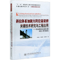 斜拉体系加固大跨径箱梁桥关键技术研究与工程应用——以东明黄河公路大桥改造工程为依托 王来永,武俊彦,徐刚年 著 