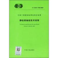 静钻根植桩技术规程 T/CECS 738-2020 中国计划出版社 编 专业科技 文轩网