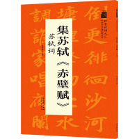 集苏轼《赤壁赋》 苏轼词 陆有珠 编 艺术 文轩网