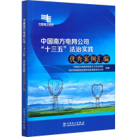 中国南方电网公司"十三五"法治实践优秀案例汇编 中国南方电网有限责任公司法规部,南方电网能源发展研究院有限责任公司 编 