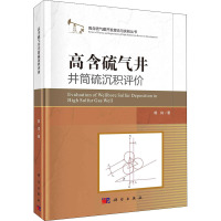 高含硫气井井筒硫沉积评价 郭肖 著 专业科技 文轩网