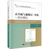 高含硫气藏储层-井筒一体化模拟 郭肖 著 专业科技 文轩网