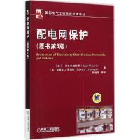 配电网保护 