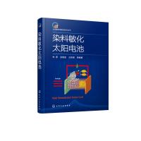 太阳能利用前沿技术丛书--染料敏化太阳电池 林原、张敬波、王桂强 等 编著 著 专业科技 文轩网