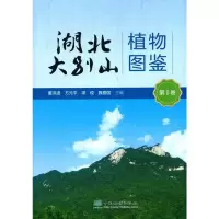 湖北大别山植物图鉴 第1卷 董洪进 等 编 专业科技 文轩网