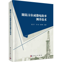 随钻方位成像电阻率测井技术 倪卫宁,李新,孙伟峰 编 专业科技 文轩网