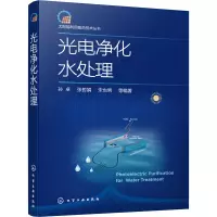 光电净化水处理 孙卓 等 编 专业科技 文轩网