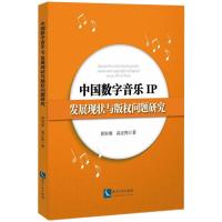 中国数字音乐IP发展现状与版权问题研究 崔恒勇 高正熙 著 社科 文轩网