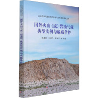 国外火山(成)岩油气藏典型实例与成藏条件 冉清昌 等 编 专业科技 文轩网