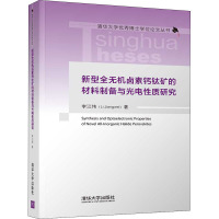 新型全无机卤素钙钛矿的材料制备与光电性质研究 李江伟 著 专业科技 文轩网