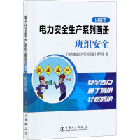 电力安全生产系列画册 口袋书 班组安全 《电力安全生产系列画册》编写组 编 专业科技 文轩网