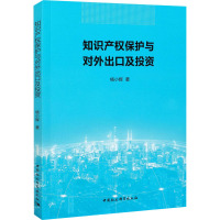 知识产权保护与对外出口及投资 杨小辉 著 社科 文轩网