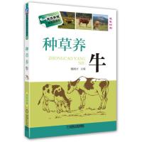 种草养牛 魏刚才主编 著 专业科技 文轩网