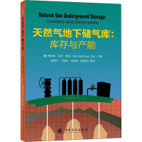 天然气地下储气库:库存与产能 (美)梅米特·拉辛·泰克 著 郑得文 等 译 专业科技 文轩网